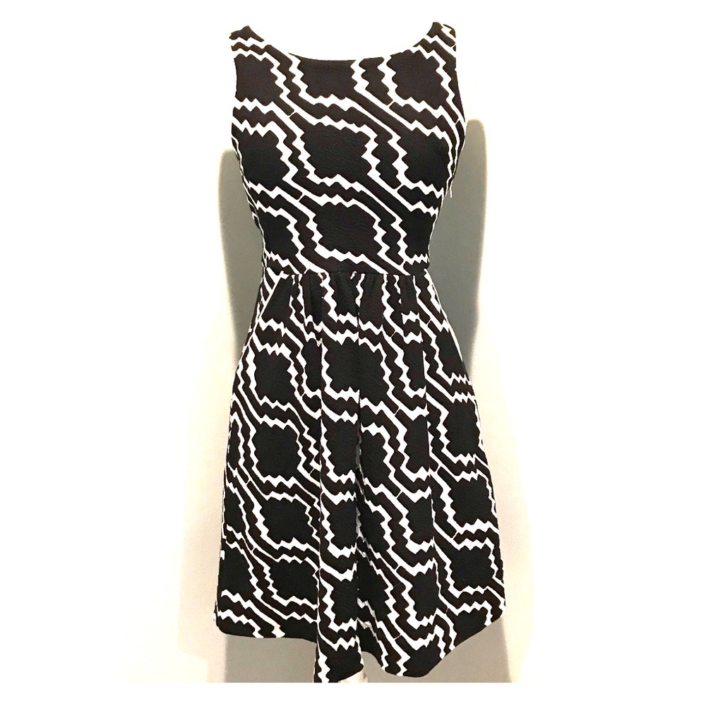 Anthropologie Black/White Fit And Flare Dress NWT